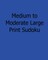 Medium to Moderate Large Print Sudoku