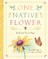 One Native Flower
