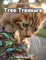 Tree Treasure