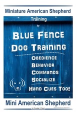 Miniature American Shepherd Training By Blue Fence - Dog Training Obedience - Behavior, Commands - Socialize, Hand Cues Too! Mini American Shepherd