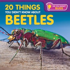 20 Things You Didn't Know about Beetles