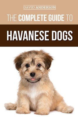 Havanese housebreaking best sale