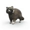 SCHLEICH WILD LIFE Meškėnas