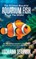 The 50 Most Beautiful Aquarium Fish in the World