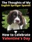 The Thoughts of My English Springer Spaniel
