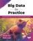 Big Data in Practice