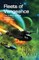 Fleets of Vengeance