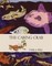 Caring Crab