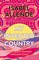 My Invented Country