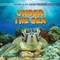 Under the Sea
