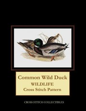 Common Wild Duck
