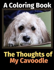 The Thoughts of My Cavoodle
