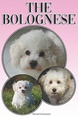 The Bolognese