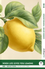 When Life Gives You Lemons - Reflections: 10 Everyday Short Stories vol. 001 - B1-B2 (+ Audio-Online)