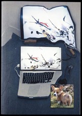 Ian Cheng. Live Simulations