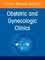 Cardiovascular Diseases Affecting Pregnancy and Beyond, an Issue of Obstetrics and Gynecology Clinics of North America