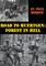Road To Huertgen: Forest In Hell [Illustrated Edition]