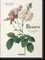 Lack, H: Redouté. Roses