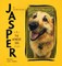 Jasper The Wonder Dog