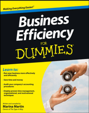 Business Efficienty For Dummies