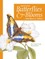 Painting Butterflies & Blooms with Sherry C. Nelson