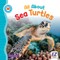 All about Sea Turtles