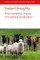 Instant Insights