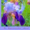 Iris Impressions from Atwood