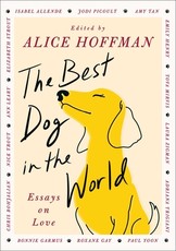 The Dog Who Changed My Life
