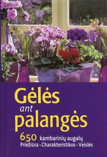 Gėlės ant palangės