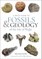 A Field Guide to the Fossils and Geology of the Isle of Wight