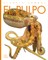 El Pulpo