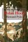The Merry Adventures of Robin Hood