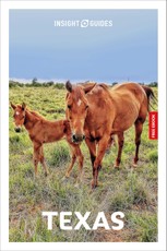 Insight Guides Texas: Travel Guide with eBook