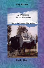 Promise Is A Promise-book 1-Nurse Hal Among The Amish
