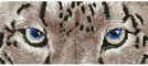 Deimantinė mozaika SNOW LEOPARD SPY 42x18