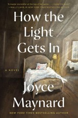 How the Light Gets In