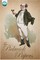 Pickwick Papers