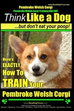 Pembroke Welsh Corgi, Pembroke Welsh Corgi Training AAA AKC