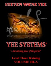 Yee Systems Volume III A