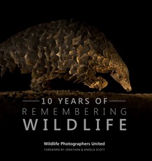 10 Years of Remembering Wildlife