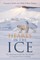 Hearts in the Ice