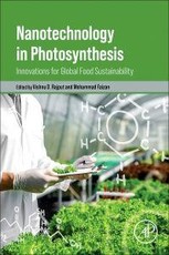 Nanotechnology in Photosynthesis