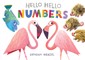 Hello Hello Numbers
