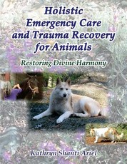 Holistic Emergency Care and Trauma Recovery for Animals