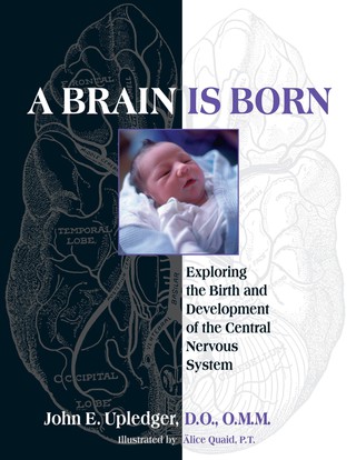 A Brain Is Born, A
