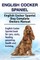 English Cocker Spaniel. English Cocker Spaniel Dog Complete Owners Manual. English Cocker Spaniel book for care, costs, feeding, grooming, health and training.