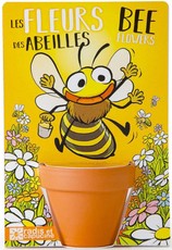 Gėlių bitėms ir drugeliams auginimo rinkinys RADIS et CAPUCINE