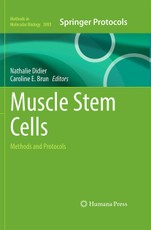 Muscle Stem Cells