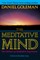 The Meditative Mind